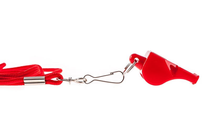 BLARIX Lifeguard Whistle and Lanyard Loudest pealess Whistle for Coach, Referee, Officials (Red and Red) - Image 2